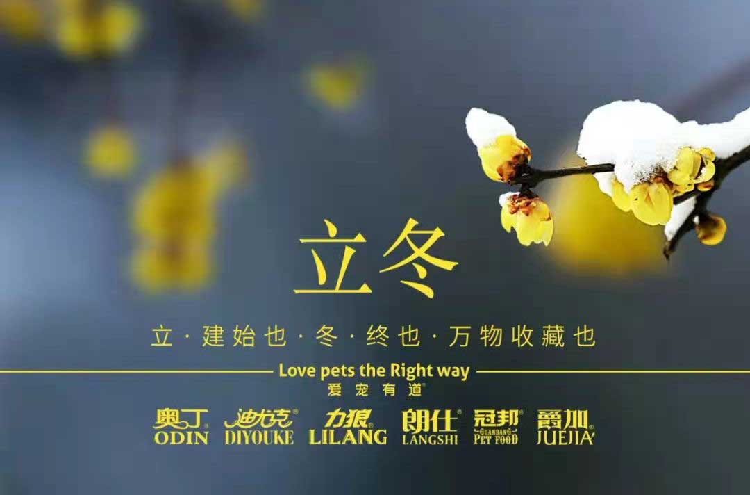 立冬丨冬寒初始，情暖愈濃